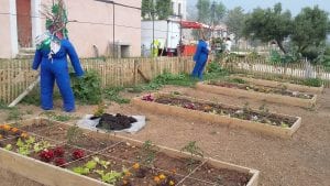 Potager des écoles à l'Ermitage