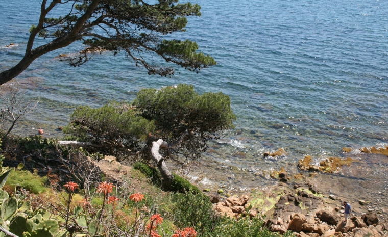 Sentier du Littoral