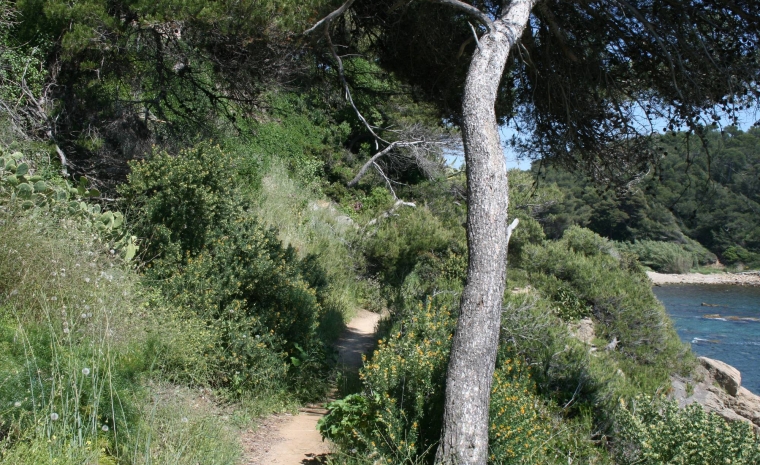 Sentier du Littoral